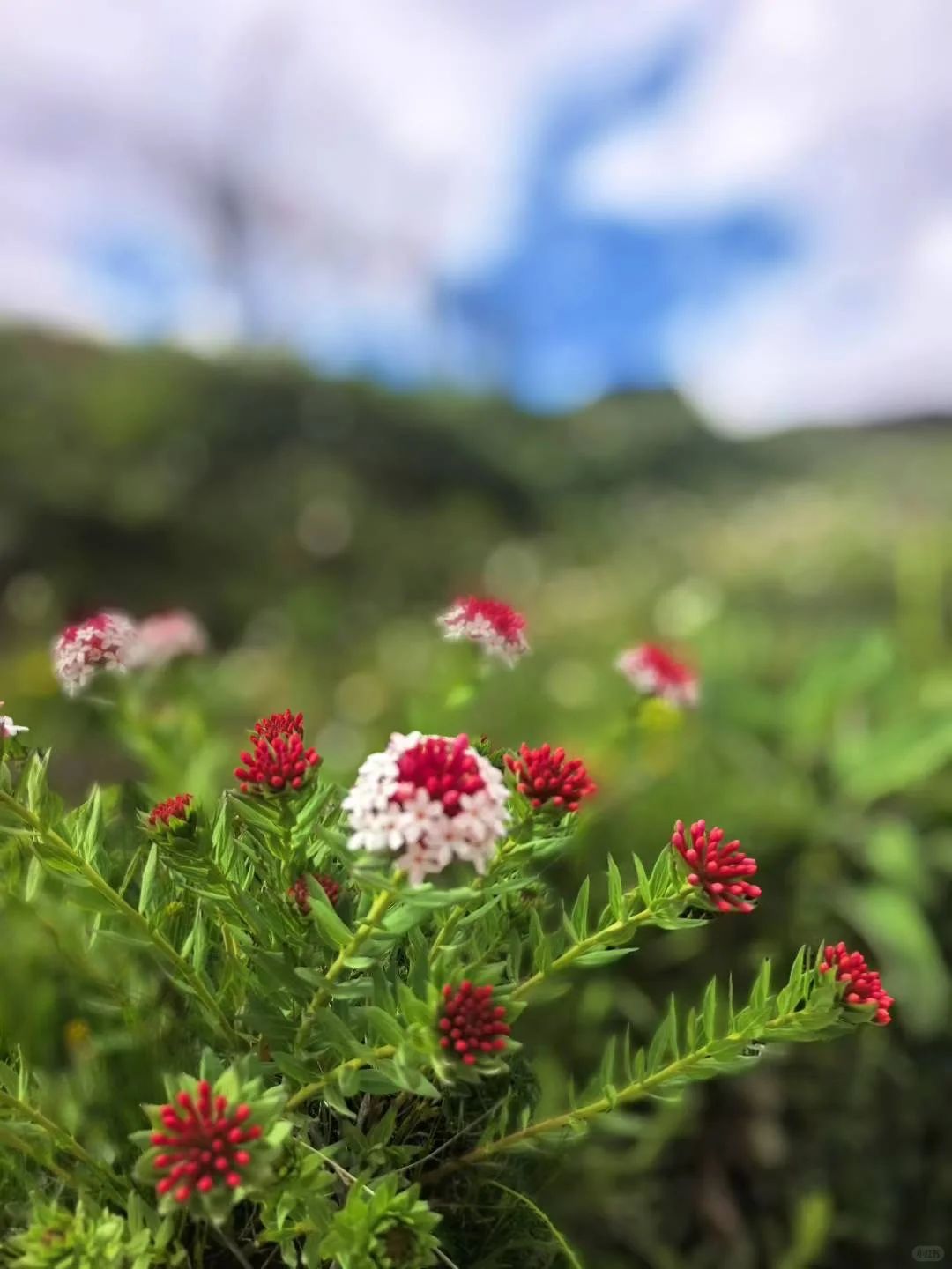旅游途中的美景