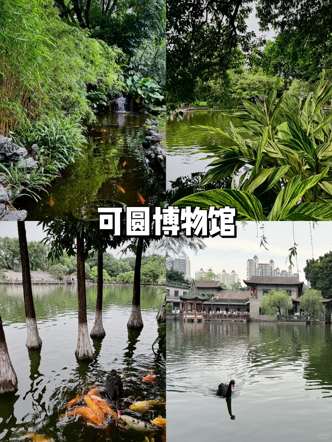 东莞2日游完攻略‼️ 吃喝玩全记录🍜