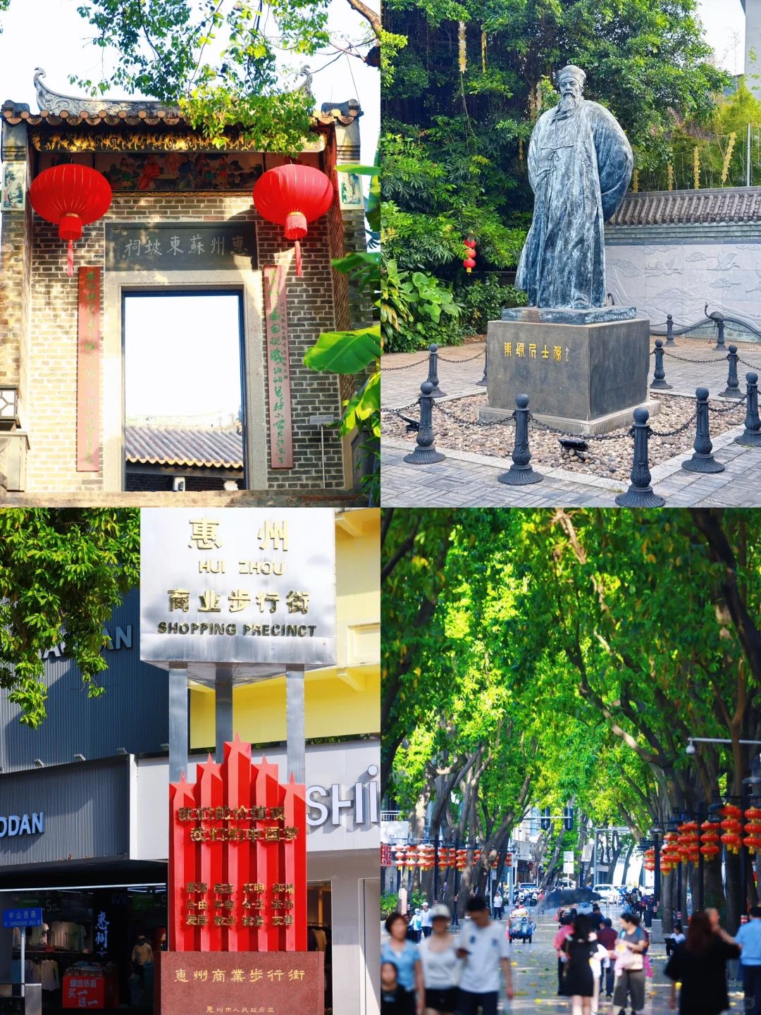 为了这9️⃣张图｜我特地飞了一趟惠州‼️