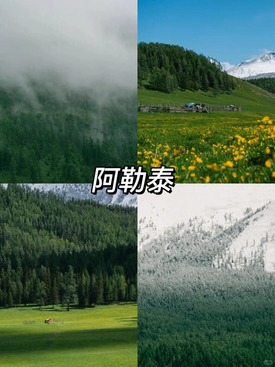 6-8月反向旅游5个避暑胜地推荐✅