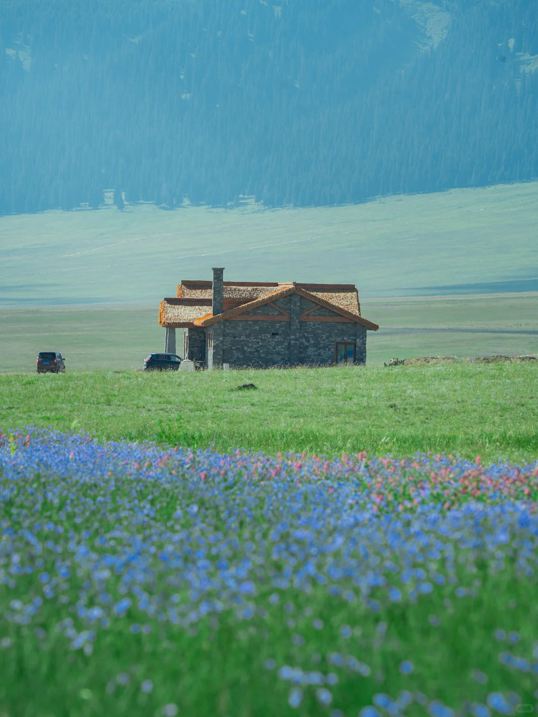 任何人错过夏天🌲的新疆，我都会伤心的