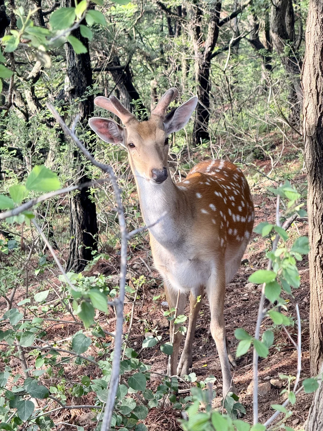 晴雨不定的大连，或许更适合碎片化旅游