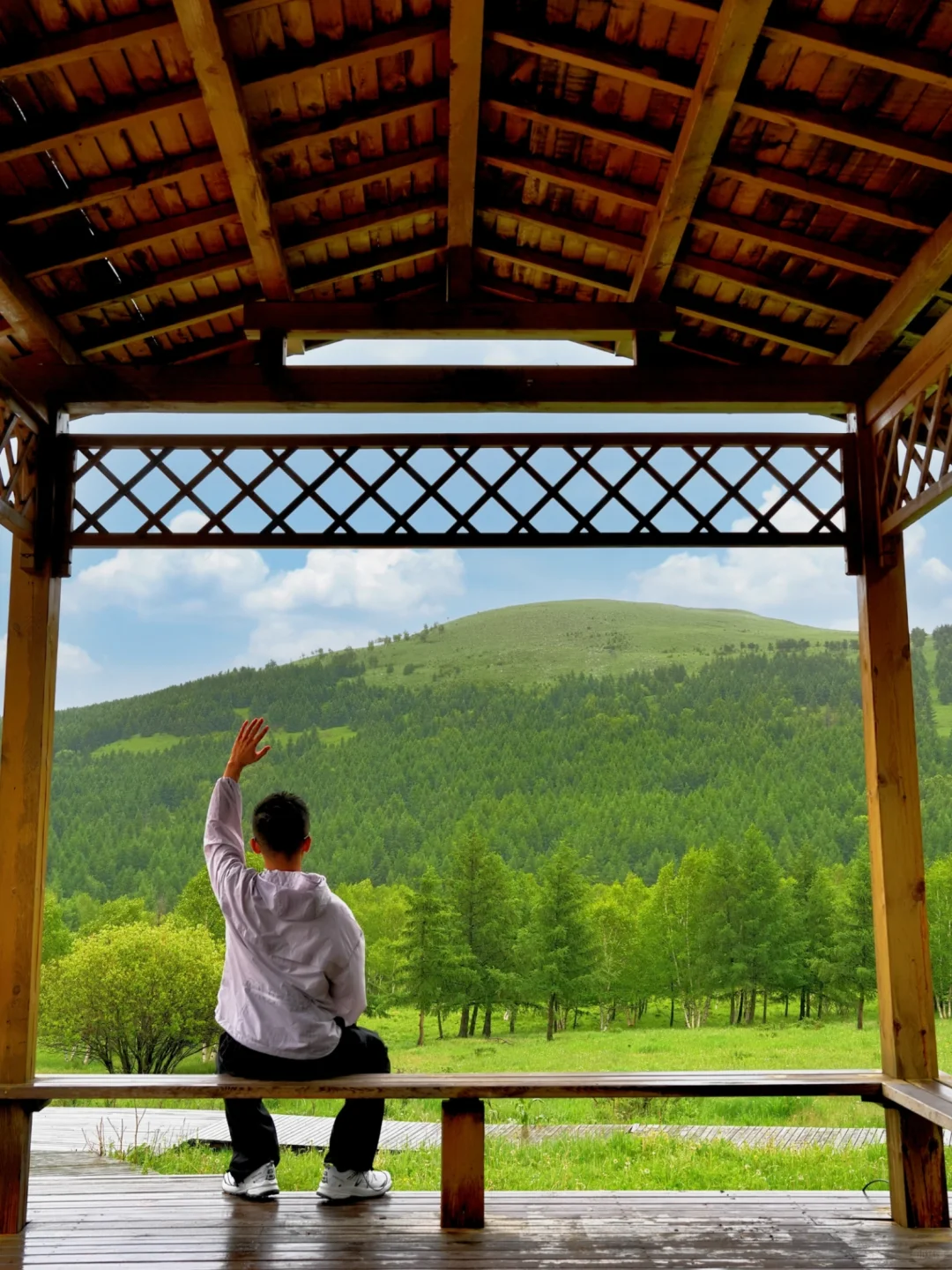 北京出发🚗4h｜被严重低估的童话森林秘境