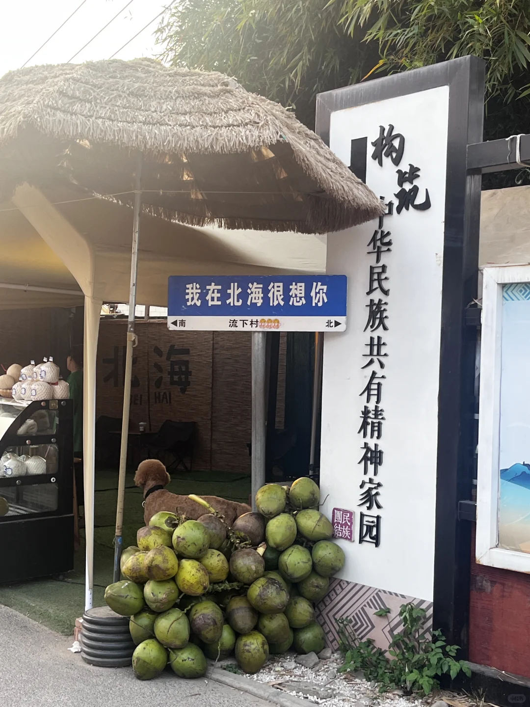 淡季去北海！特种兵一日游玩攻略