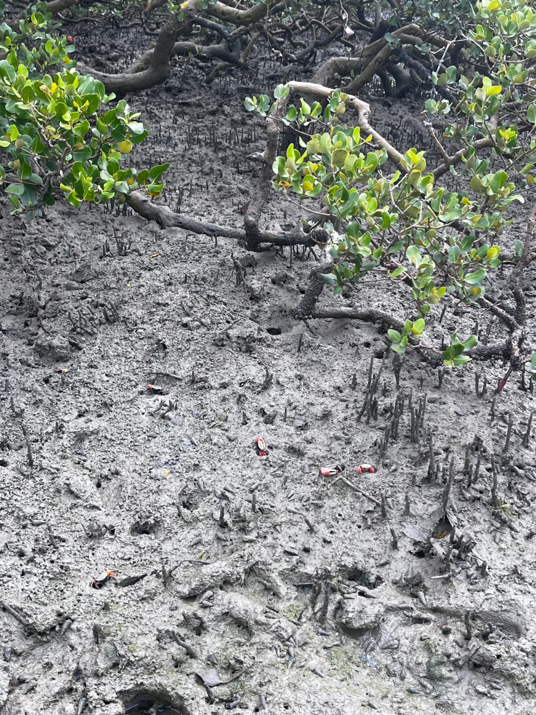 淡季去北海！特种兵一日游玩攻略