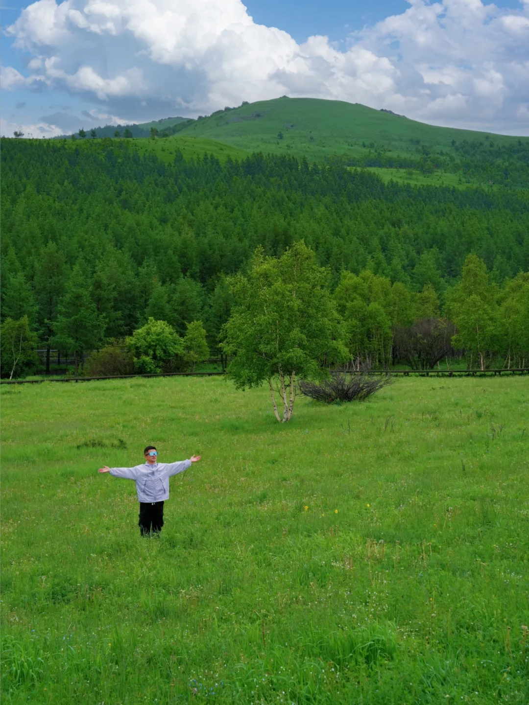 北京出发🚗4h｜被严重低估的童话森林秘境