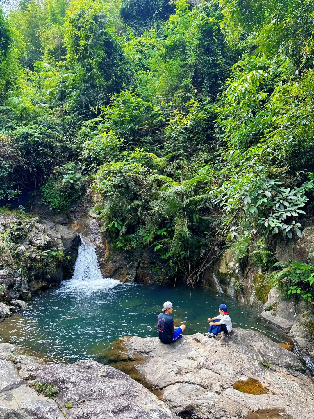胜在人少‼️被严重低估的森林公园🌲超好玩😉