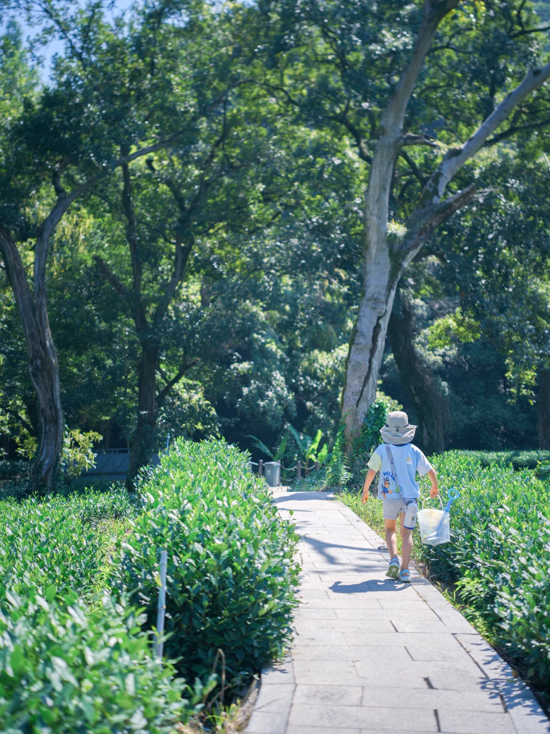 周末溜娃|去梅家坞的茶山小溪玩水