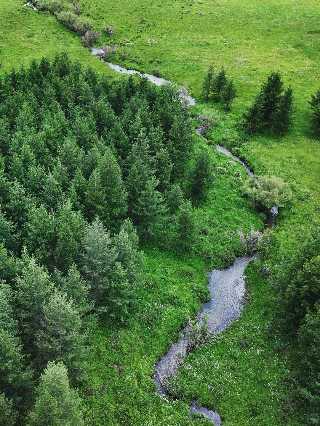 坝上草原刚开放了一个新景区❗最全攻略来了