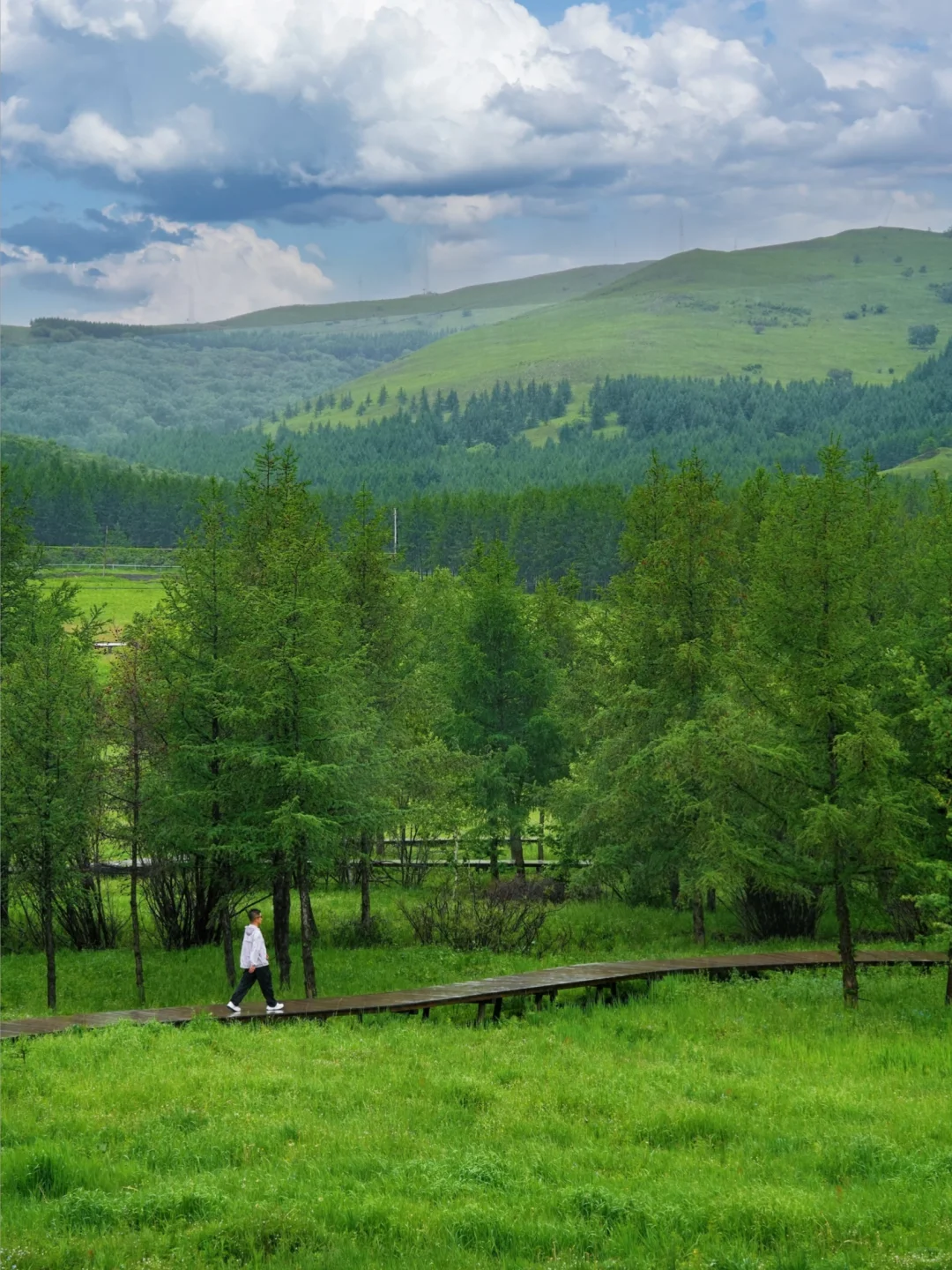 北京出发🚗4h｜被严重低估的童话森林秘境