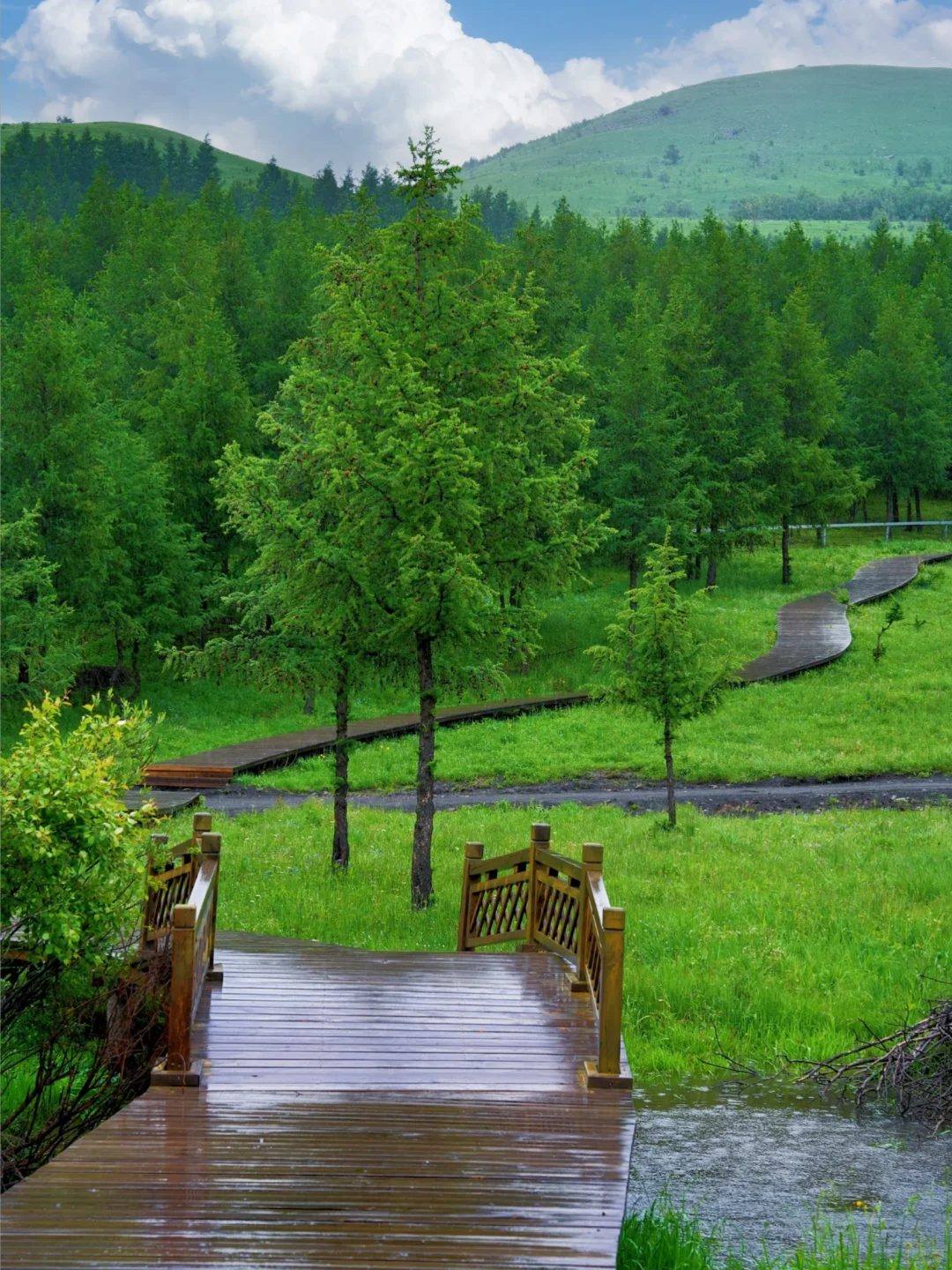 北京出发🚗4h｜被严重低估的童话森林秘境