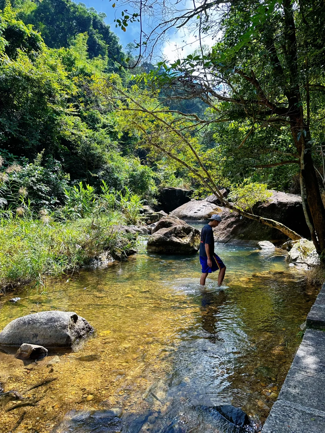 胜在人少‼️被严重低估的森林公园🌲超好玩😉
