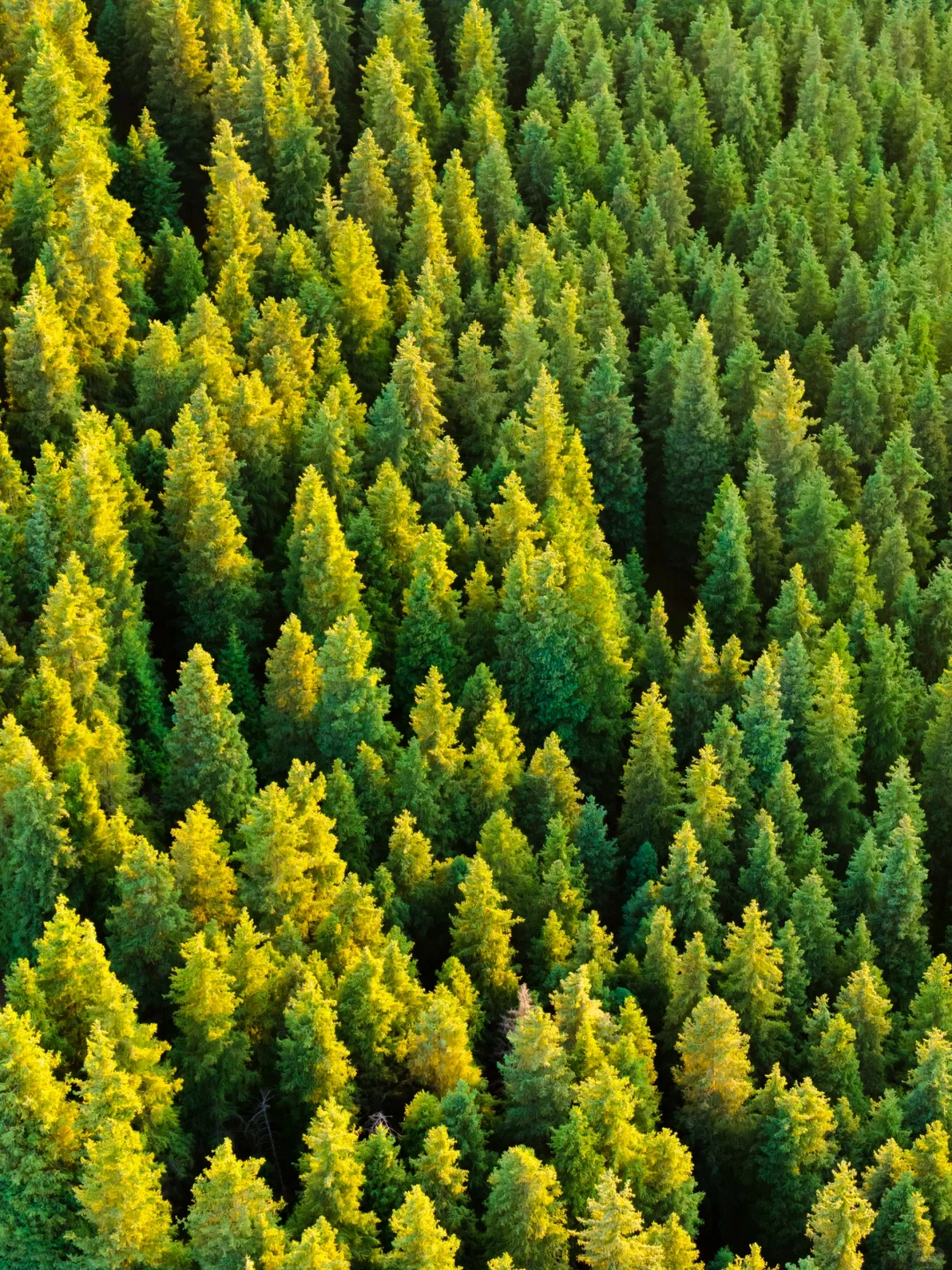 乌鲁木齐直达的出片神地！不允许你不知道！