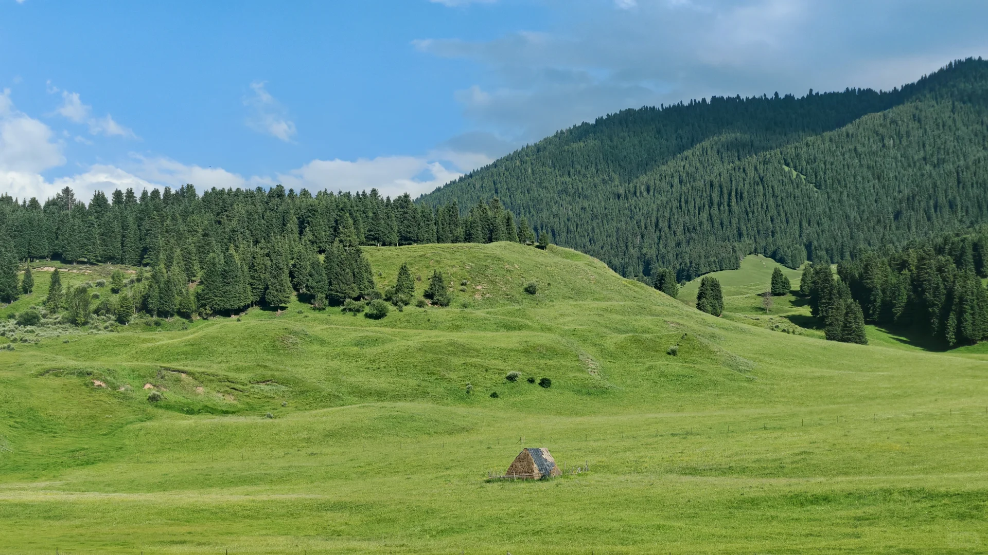 6.28—7.4 伊犁环线自驾七日游完美结束