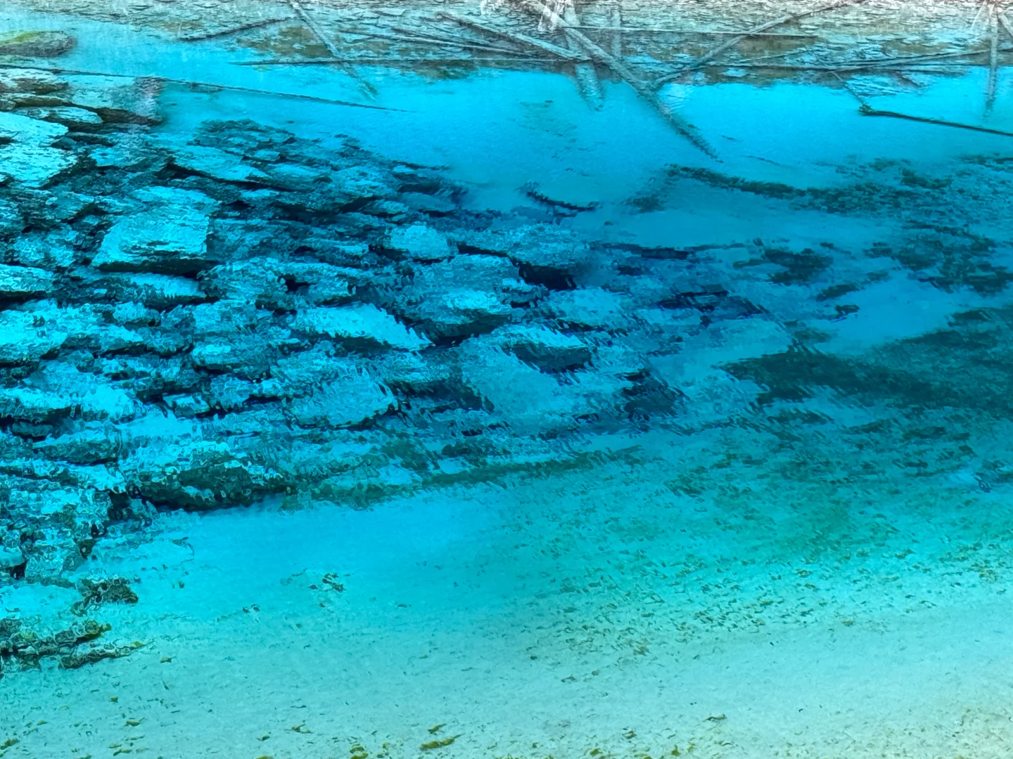 7.3📍九寨沟已回,live现状,劝退不了…… #假