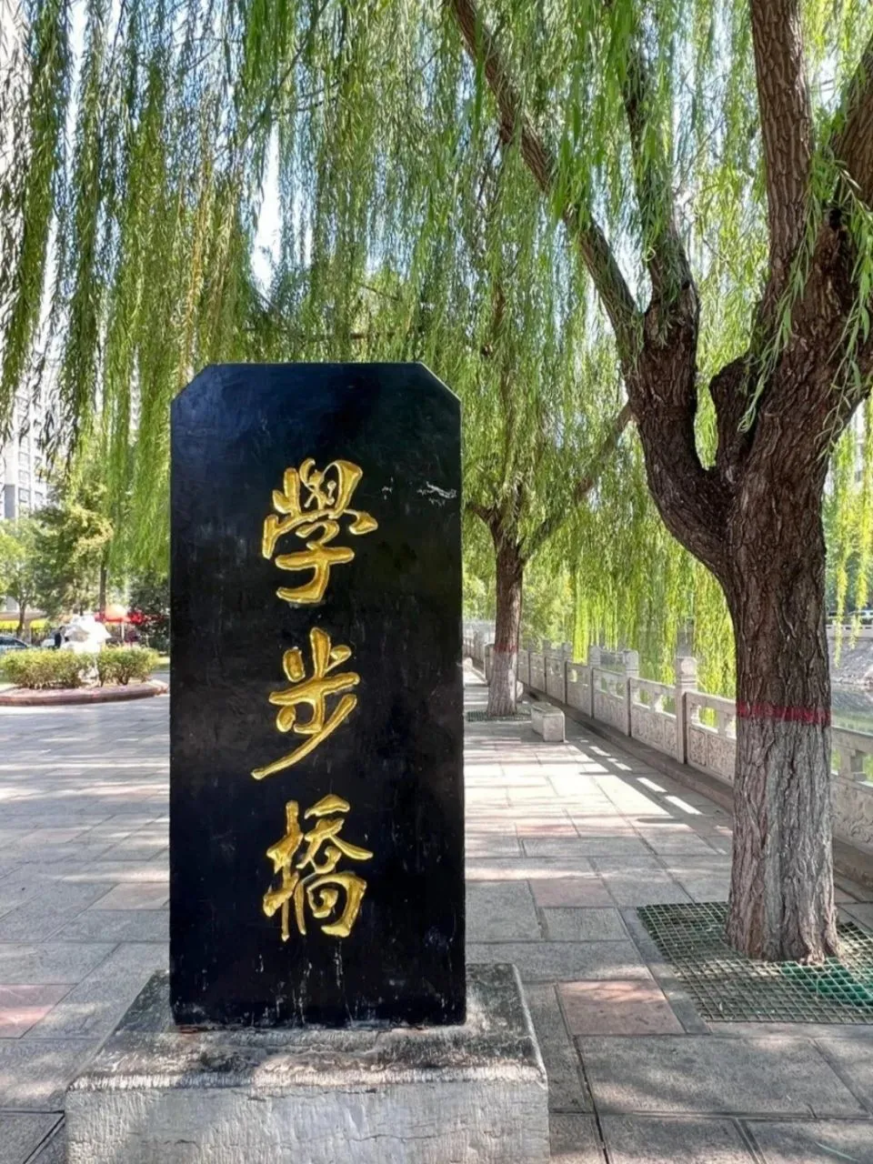 邯郸必打卡！石窟古韵与人文宝藏全攻略