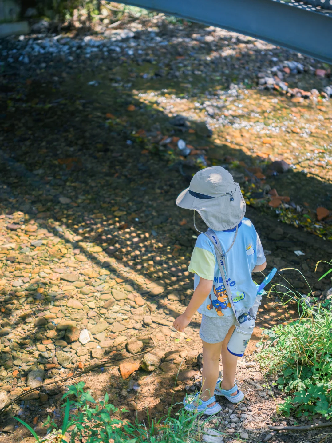 周末溜娃|去梅家坞的茶山小溪玩水