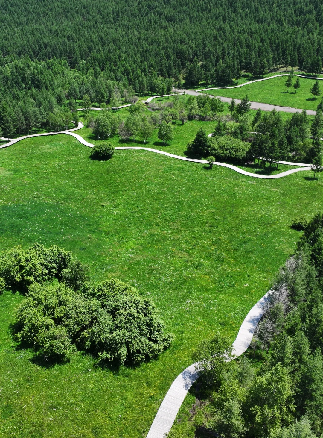 坝上草原刚开放了一个新景区❗最全攻略来了