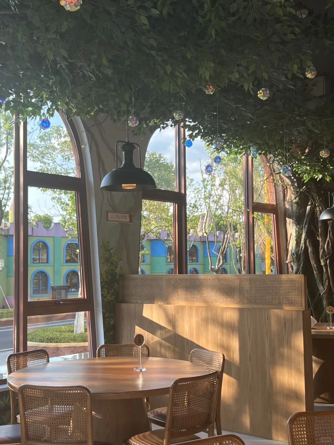 在安吉！暑假必来水上乐园💦雨林餐厅🍴