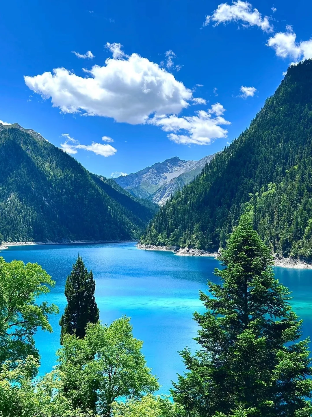 7.3📍九寨沟已回,live现状,劝退不了…… #假