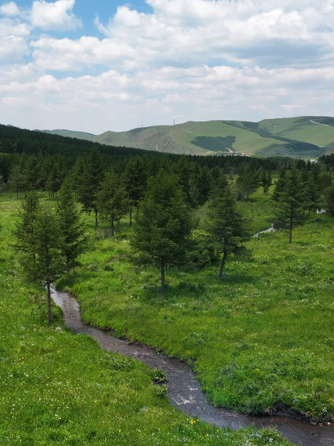 坝上草原刚开放了一个新景区❗最全攻略来了