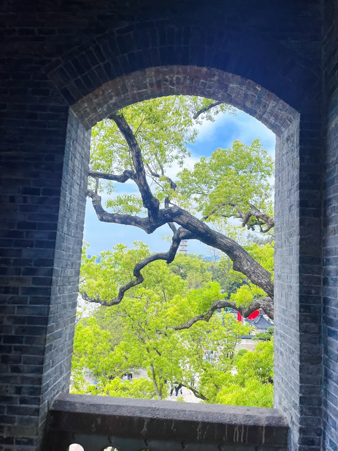 五一冷门城市温州citywalk两日游