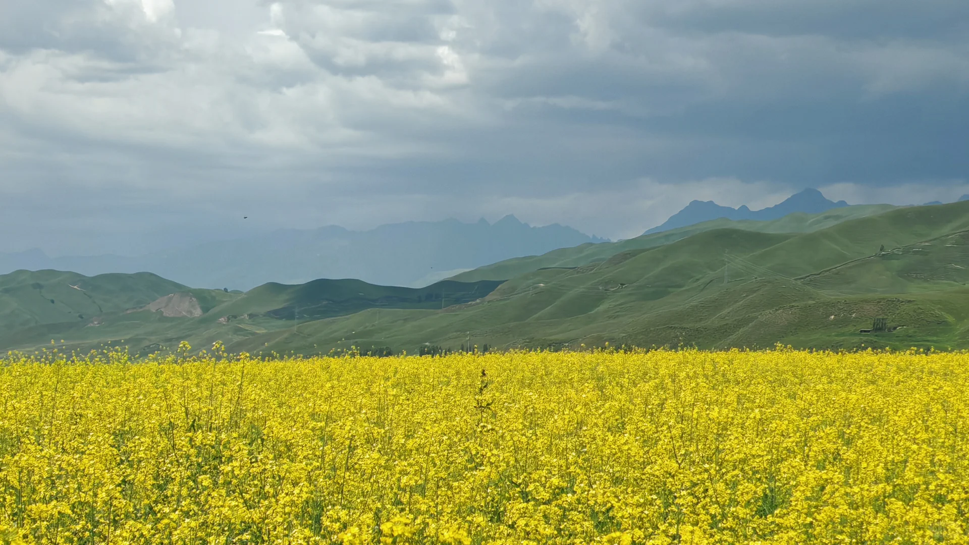 6.28—7.4 伊犁环线自驾七日游完美结束