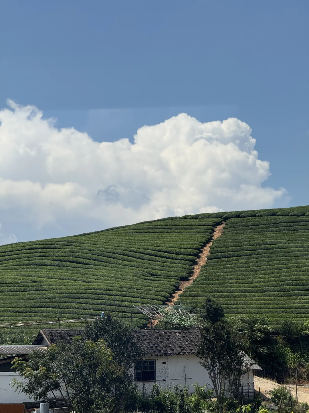 建议看完这篇再去武夷山！！！