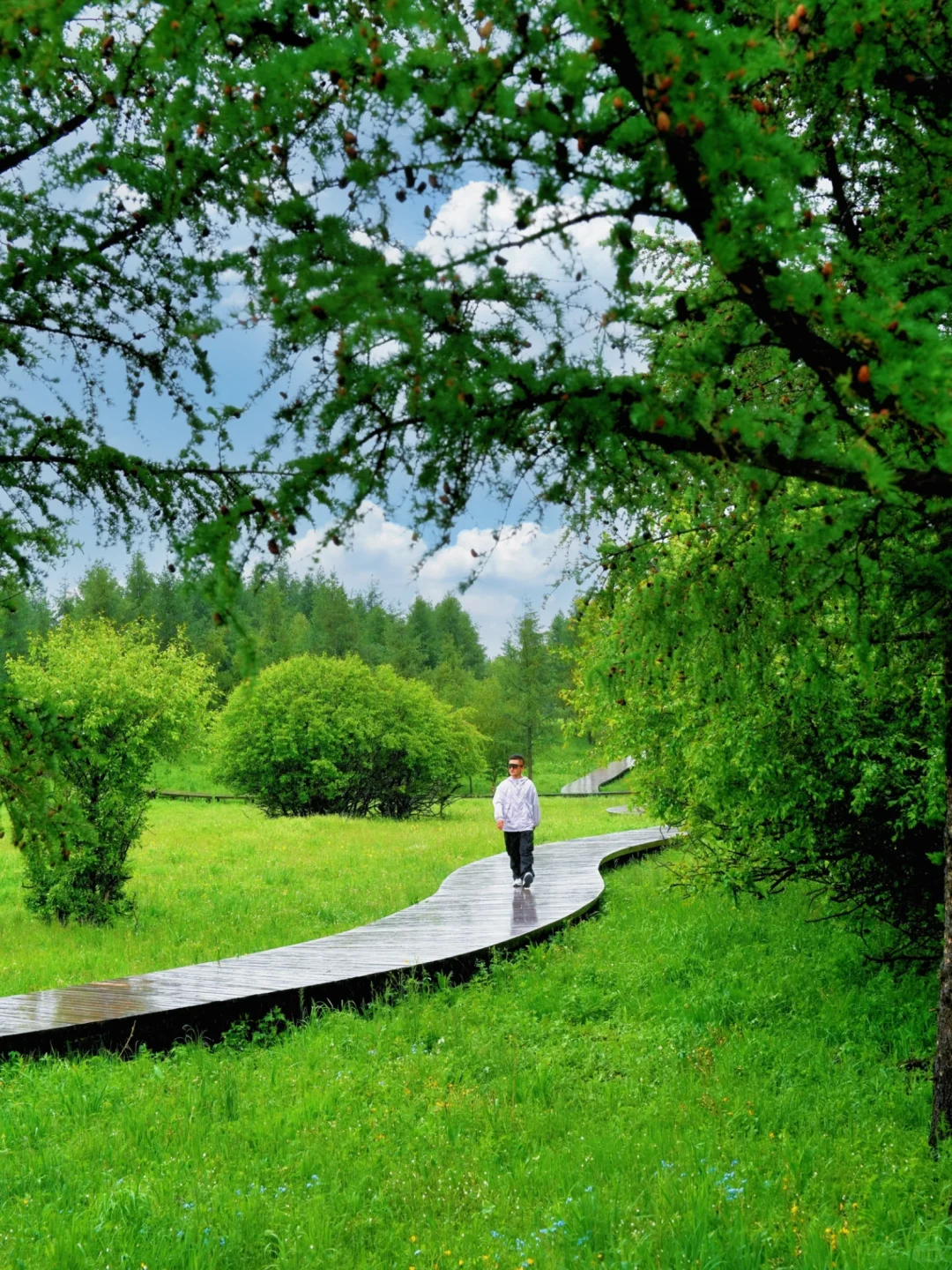 北京出发🚗4h｜被严重低估的童话森林秘境