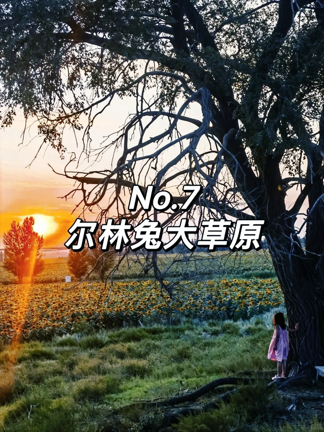 榆林必去的景点