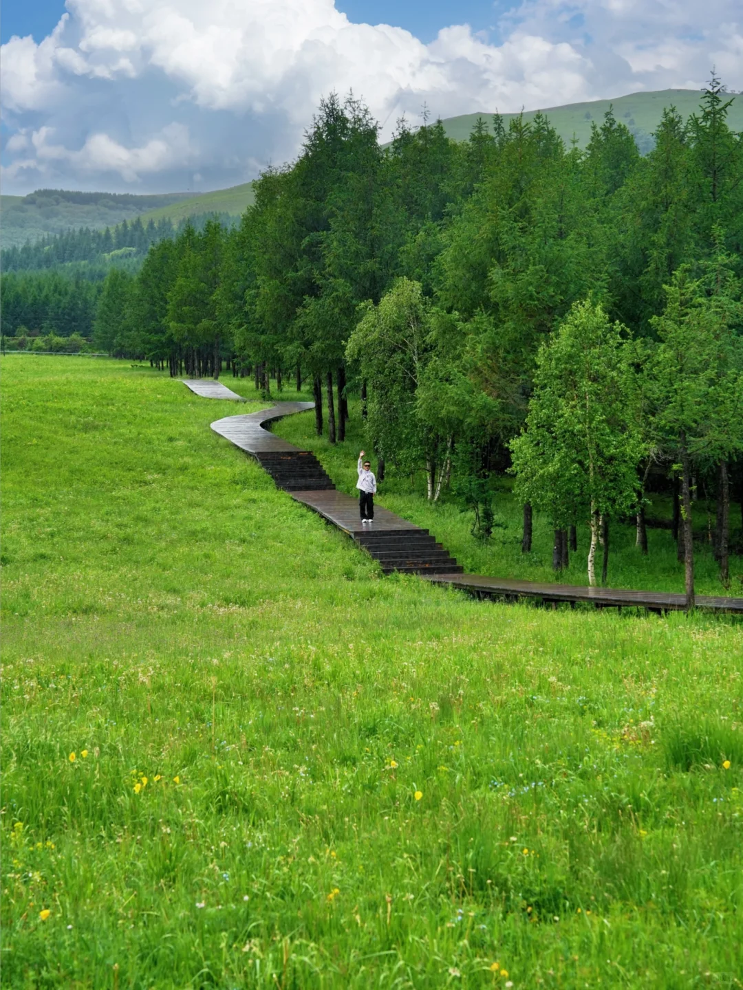 北京出发🚗4h｜被严重低估的童话森林秘境