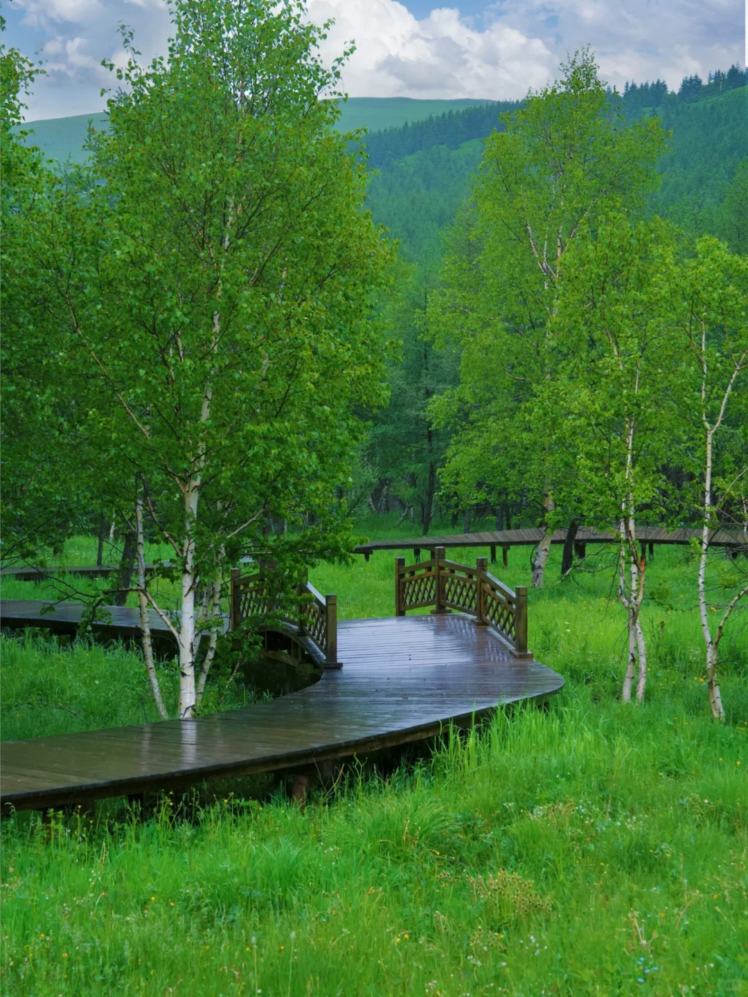 北京出发🚗4h｜被严重低估的童话森林秘境