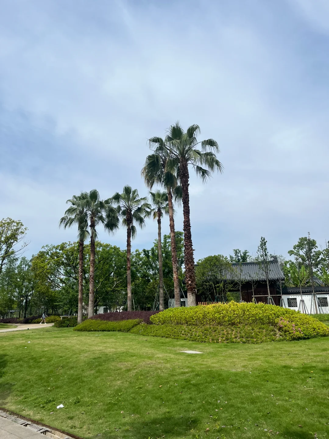 五一冷门城市温州citywalk两日游