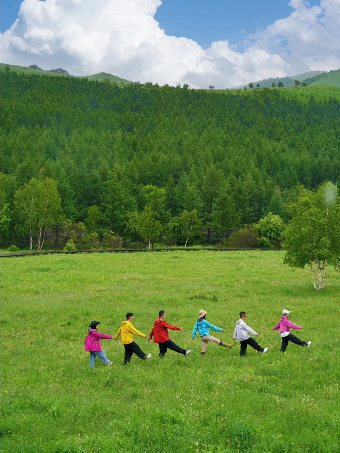 北京出发🚗4h｜被严重低估的童话森林秘境