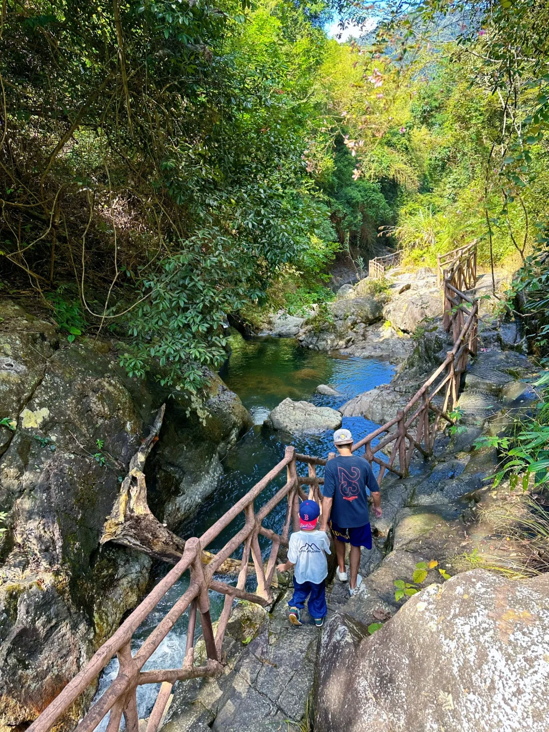 胜在人少‼️被严重低估的森林公园🌲超好玩😉