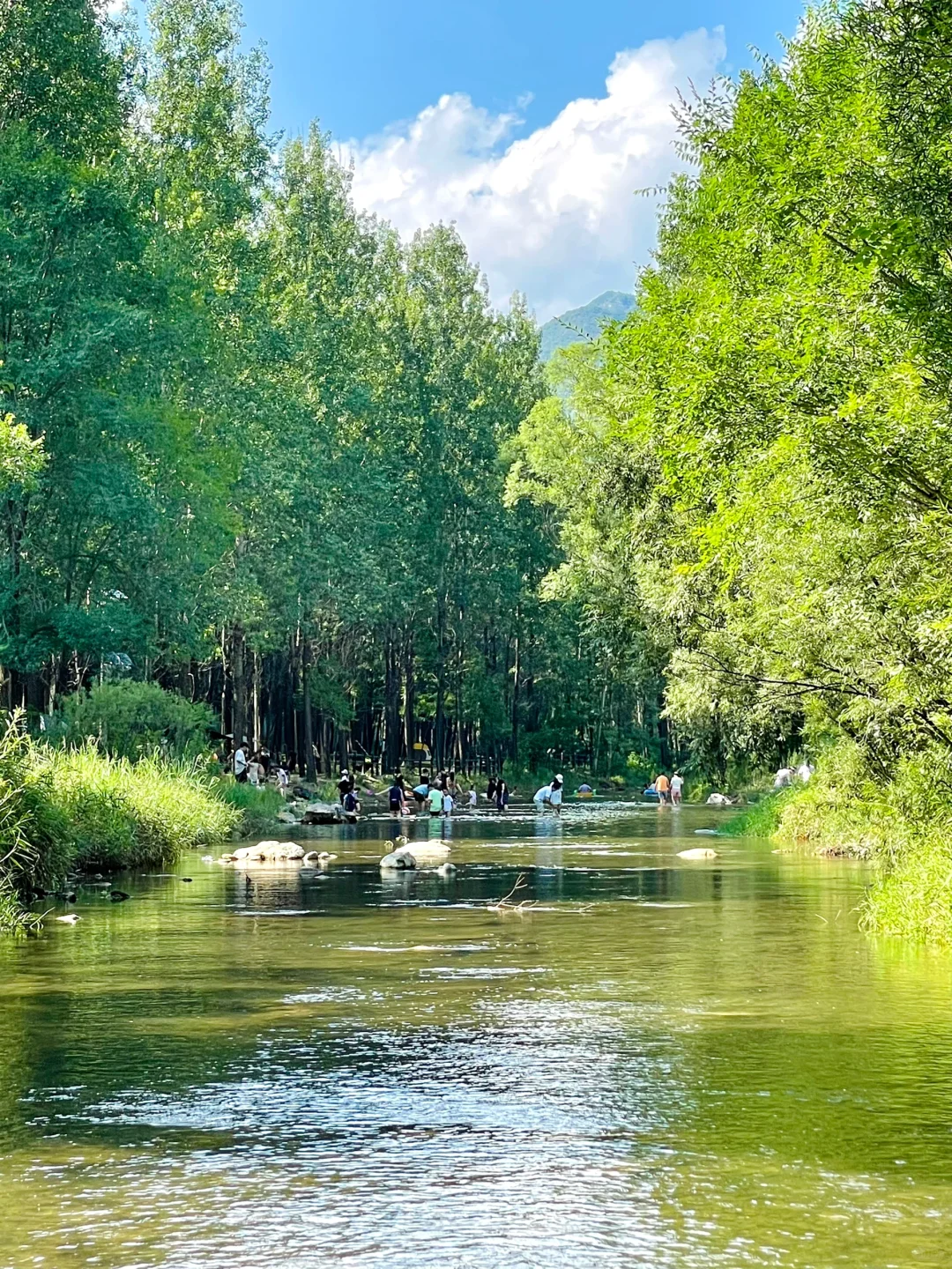 7.5｜刚回亲测‼️露营玩水遛娃溯溪天花板在这