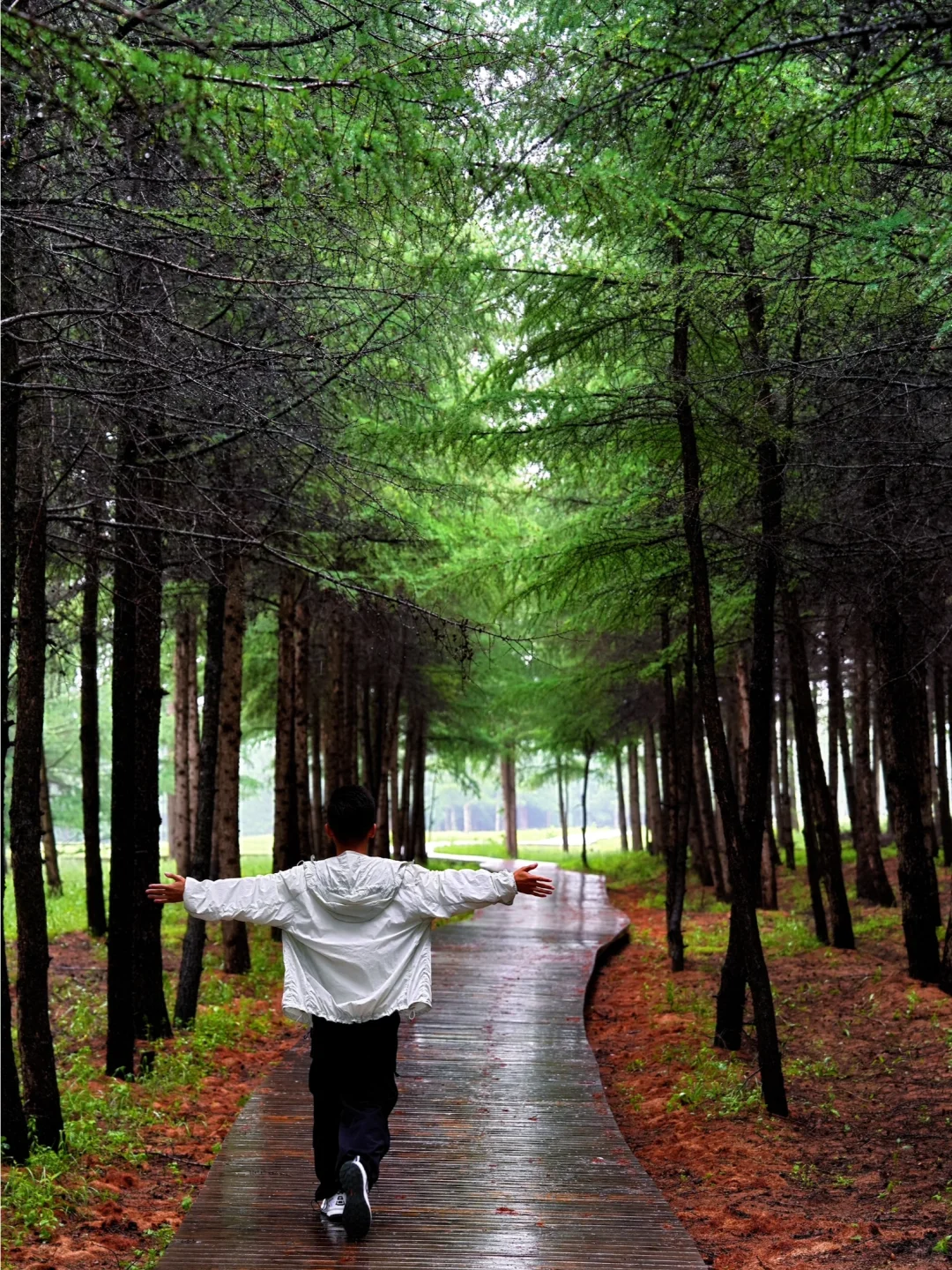 北京出发🚗4h｜被严重低估的童话森林秘境