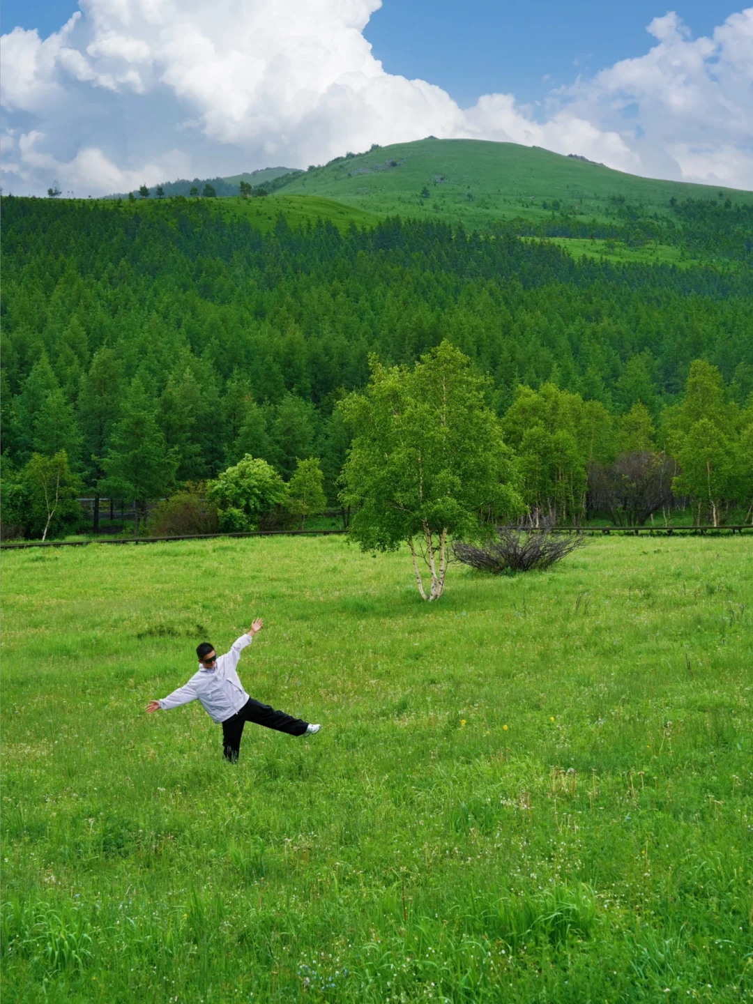 北京出发🚗4h｜被严重低估的童话森林秘境