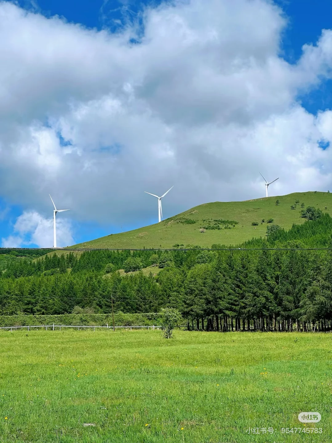 坝上草原刚开放了一个新景区❗最全攻略来了