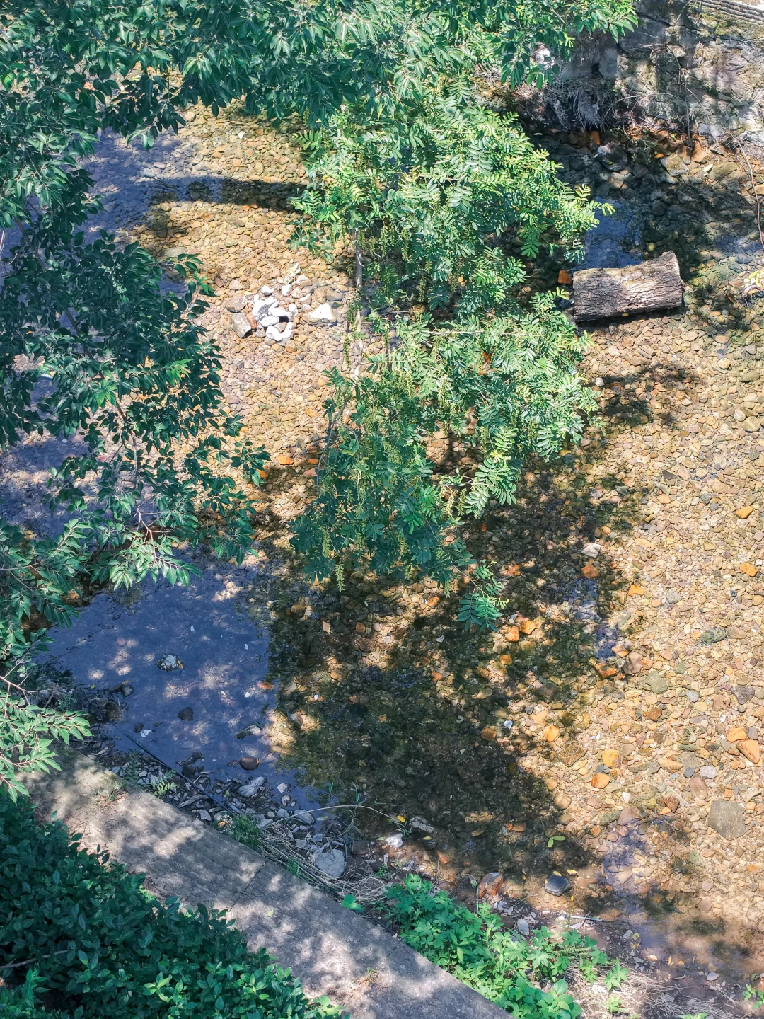 周末溜娃|去梅家坞的茶山小溪玩水