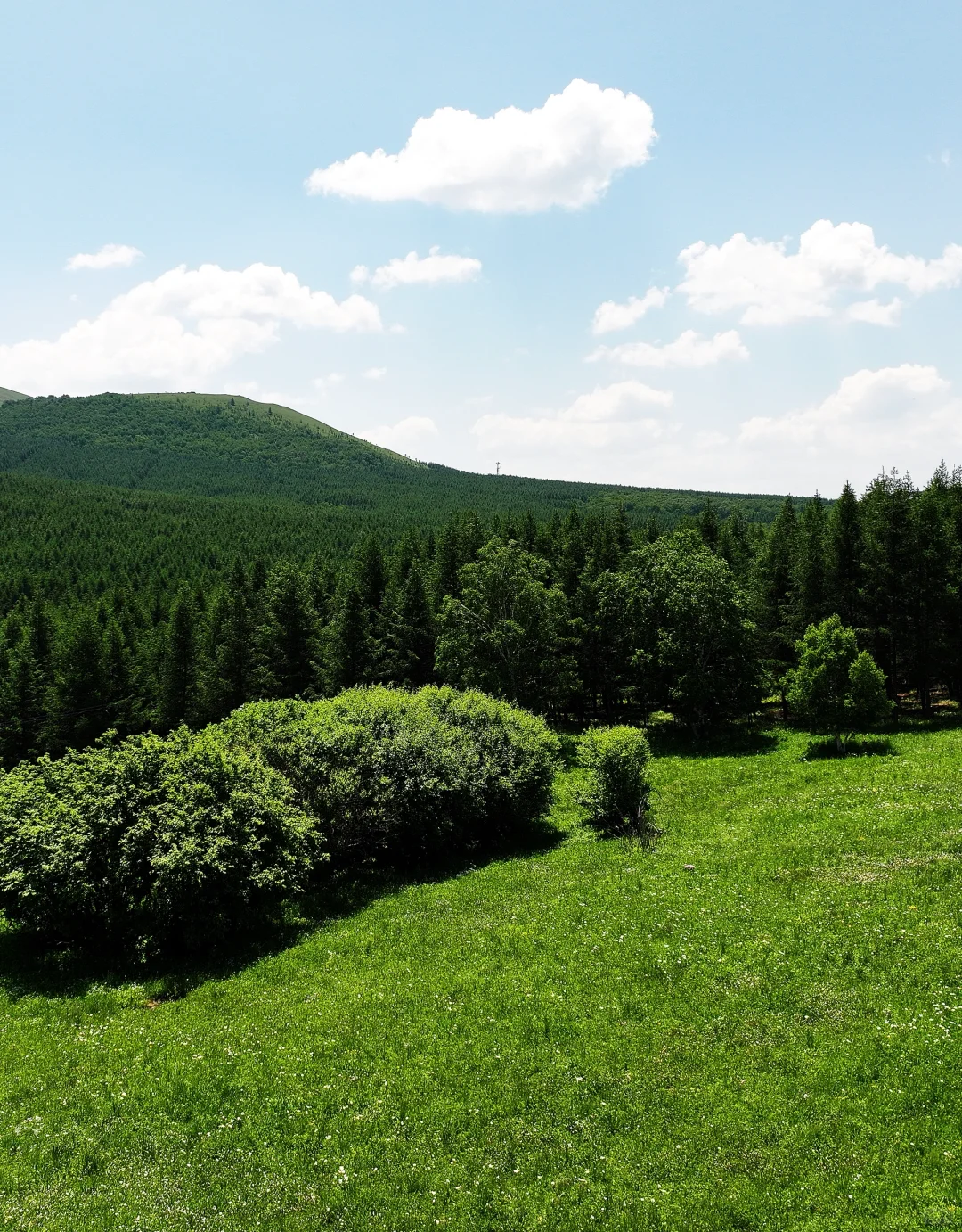 坝上草原刚开放了一个新景区❗最全攻略来了