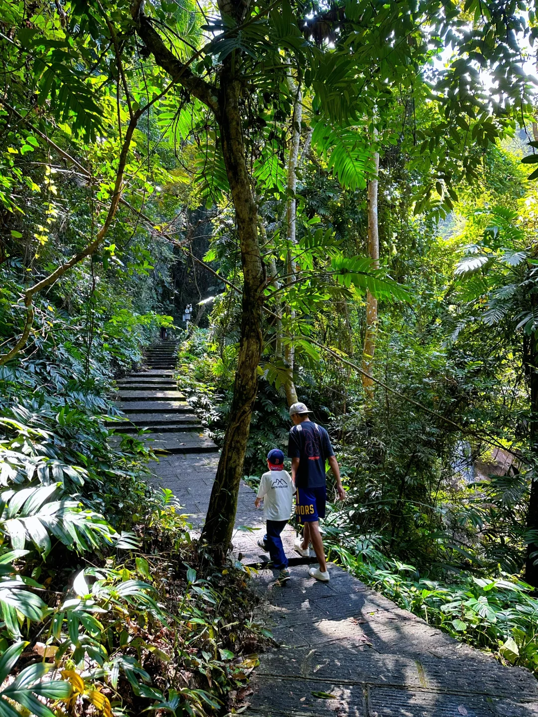 胜在人少‼️被严重低估的森林公园🌲超好玩😉