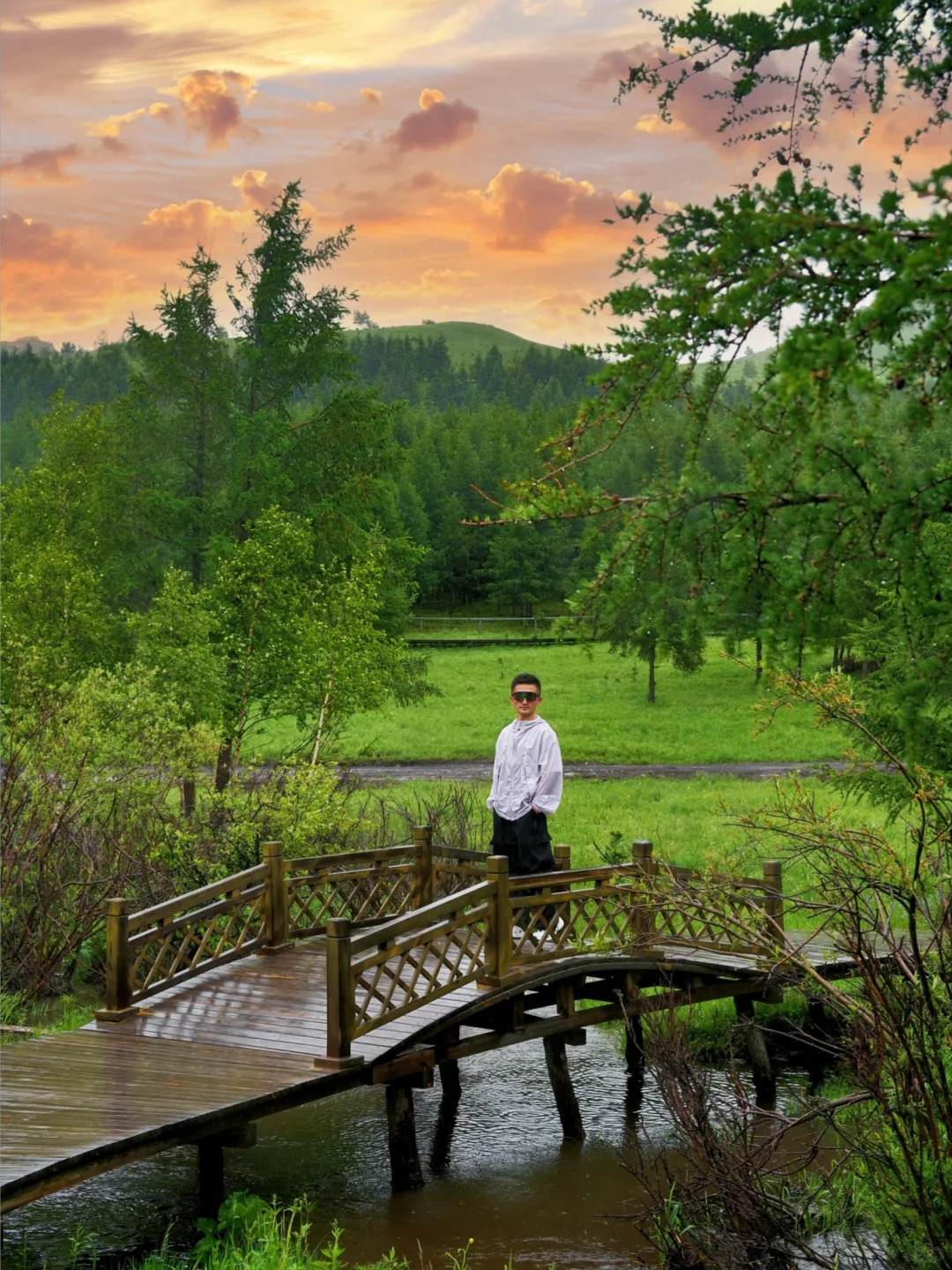 北京出发🚗4h｜被严重低估的童话森林秘境