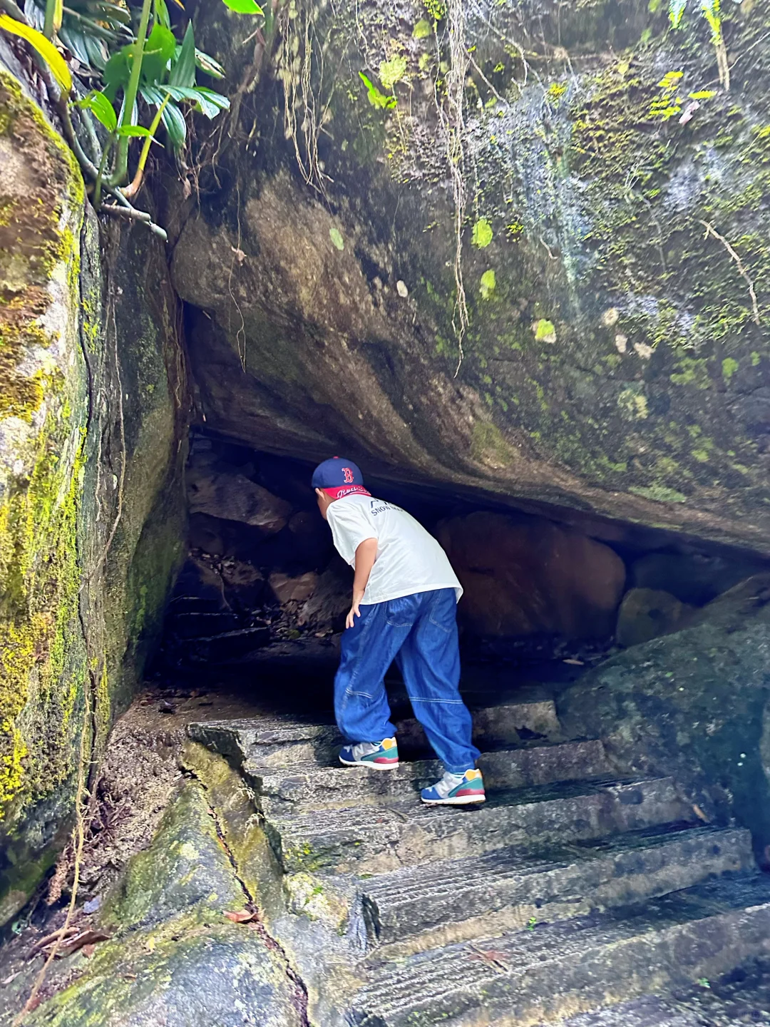 胜在人少‼️被严重低估的森林公园🌲超好玩😉