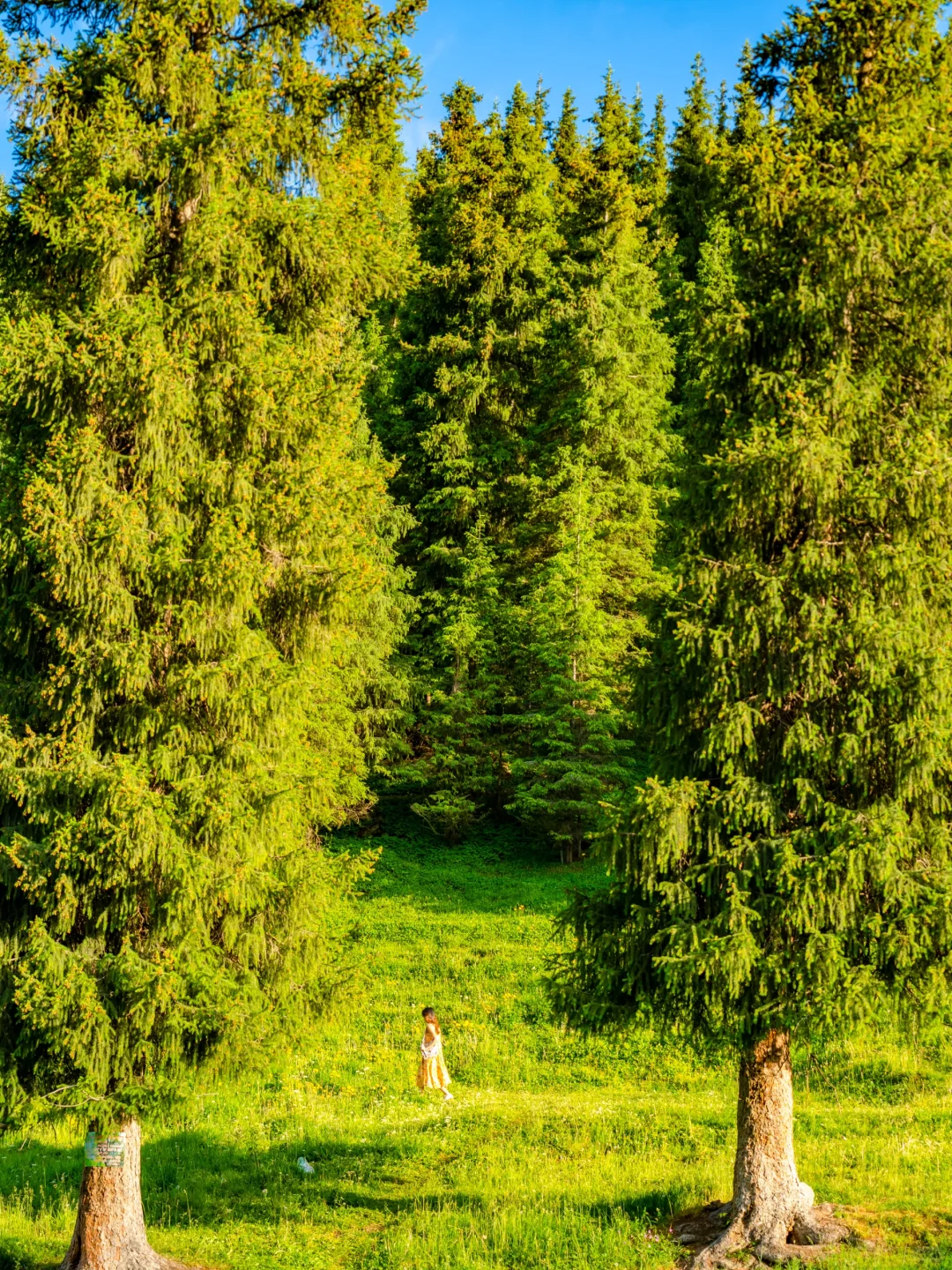 乌鲁木齐直达的出片神地！不允许你不知道！