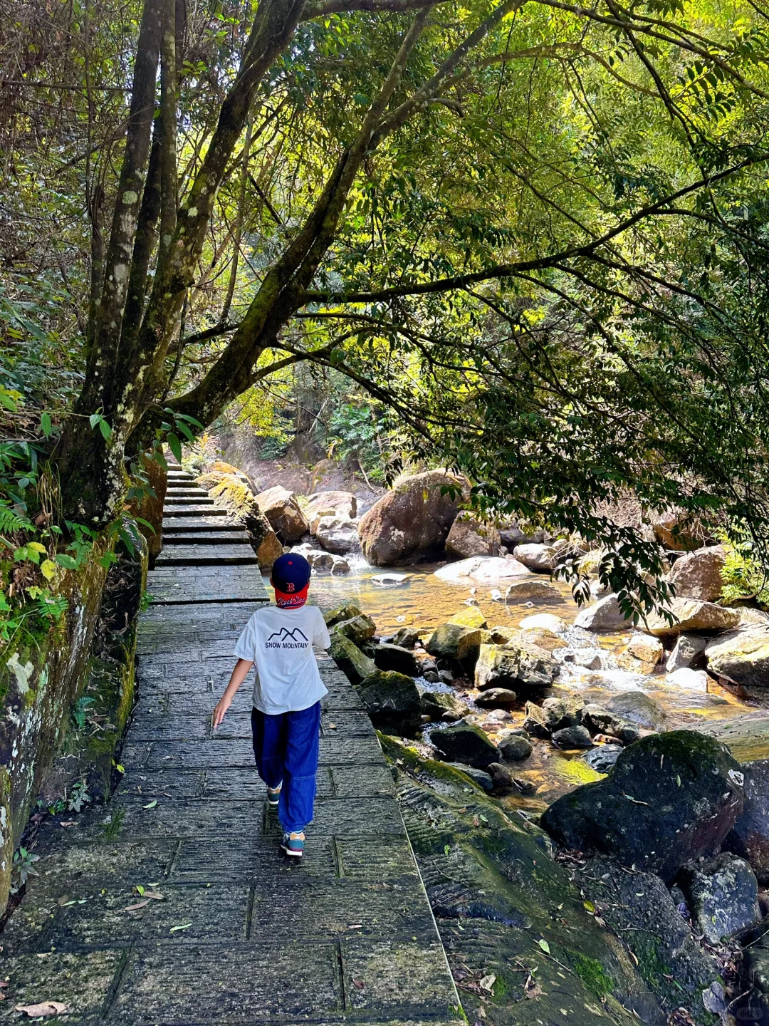 胜在人少‼️被严重低估的森林公园🌲超好玩😉