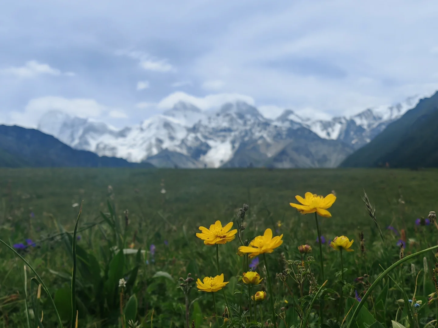6.28—7.4 伊犁环线自驾七日游完美结束