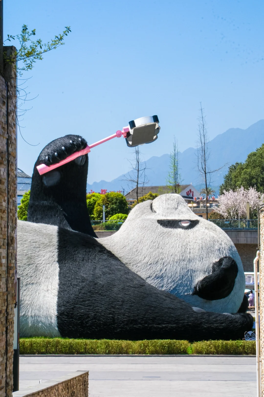 听劝！！！都江堰一日游去这3个地方就够了！！！