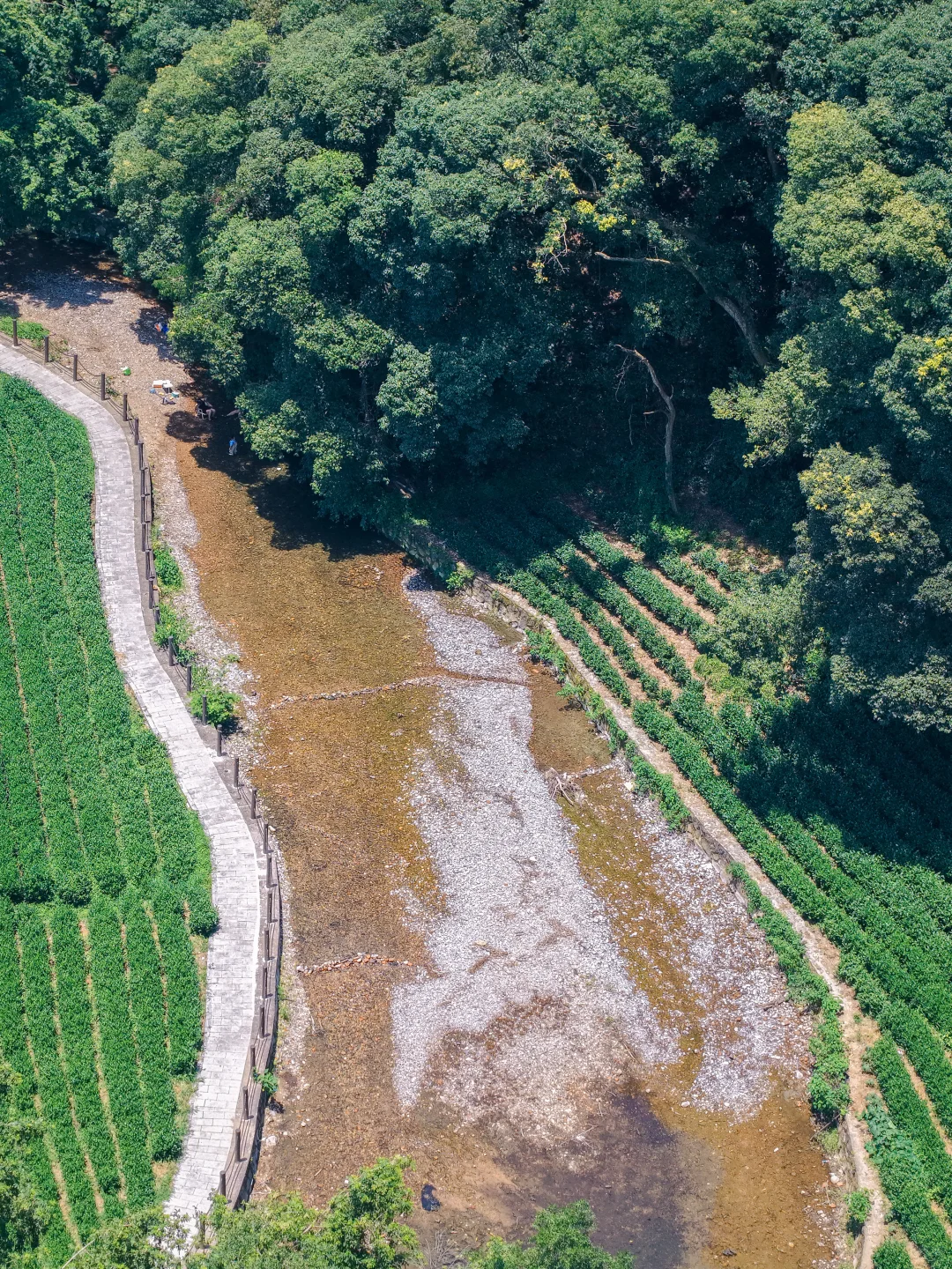 周末溜娃|去梅家坞的茶山小溪玩水