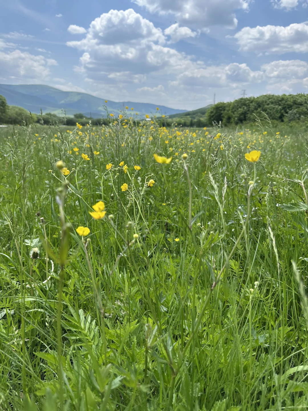 坝上草原刚开放了一个新景区❗最全攻略来了